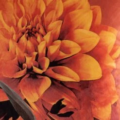 Melody Cushion -Kas Australia Melody Mustard Cushion DetailWEB